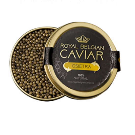 ������ ����Ʈ�� ĳ��� 10g