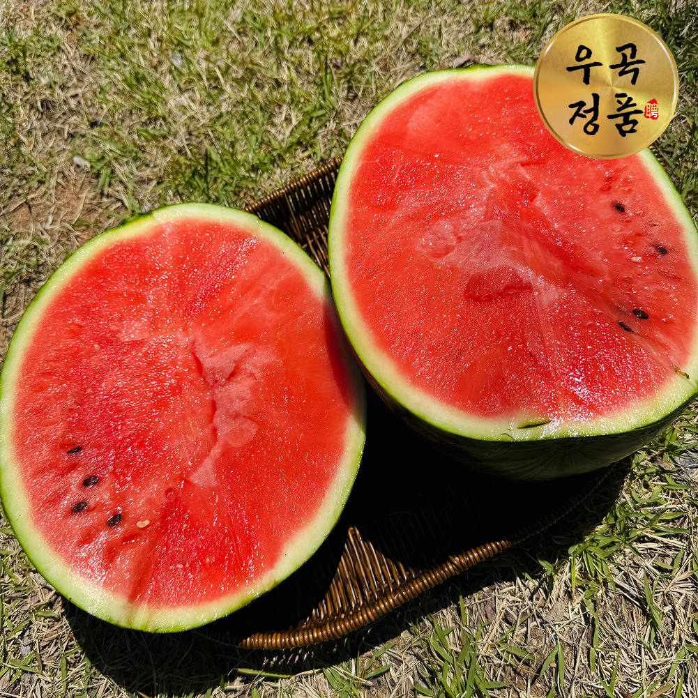 제철삼촌 우곡 꿀수박 특품 4kg