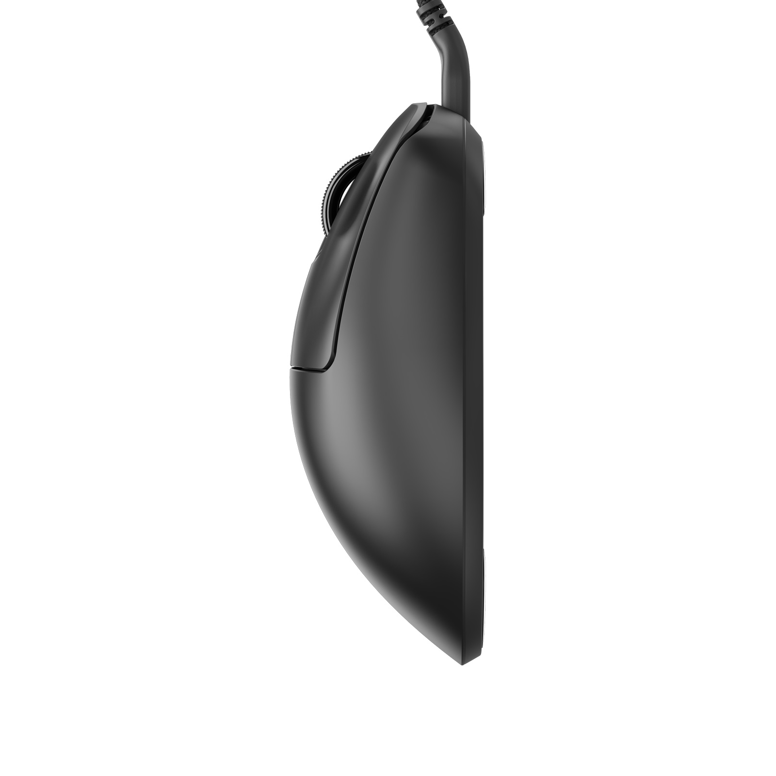 Pulsar Xlite 미디움 (블랙)_이미지