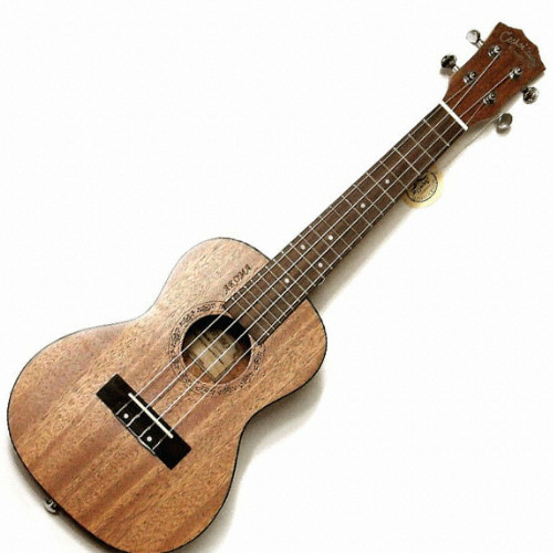 오봉 아로마 우쿨렐레