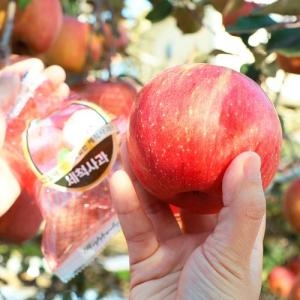 ���þ�ħ��� 24�� �� �λ� ���þ�ħ ��ô��� 11�� �� 22��