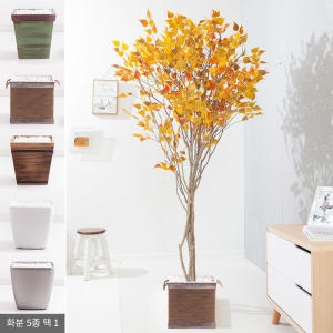 플라워트리 플라워트리 라인-단풍자작나무화분set 210cm  조화  FREOFT이미지입니다. 누르면 해당 게시물로 새창이동합니다.