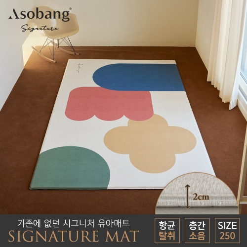파크론 아소방 아소방 시그니처 놀이방매트 컬러오브제 250x150x2cm (1개)