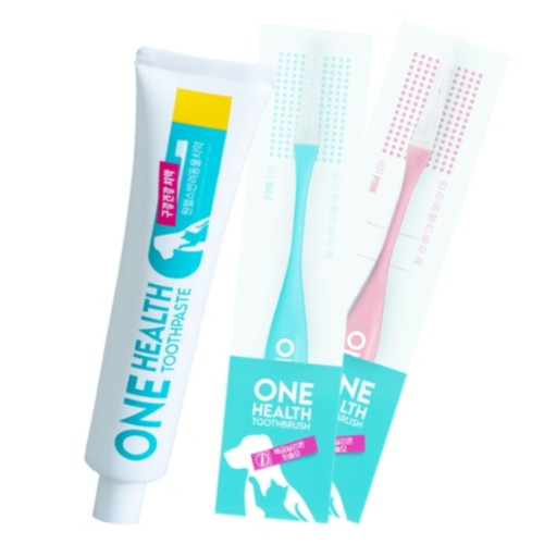 KJ인터내셔널 원헬스 반려동물 칫솔+치약 패키지 (1개)
