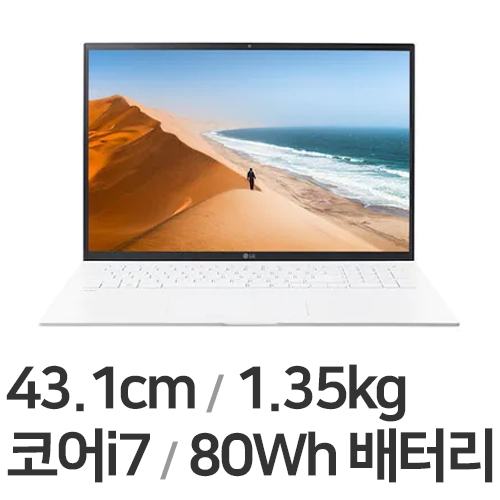 LG전자 2022 그램17 17Z95P-GASWK (SSD 256GB)