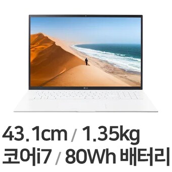 LG전자 2022 그램17 17Z95P-GASWK