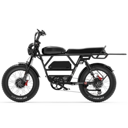 랑케레이시 X-Black 나이트 해외구매 (48V, 20Ah, 1000W)