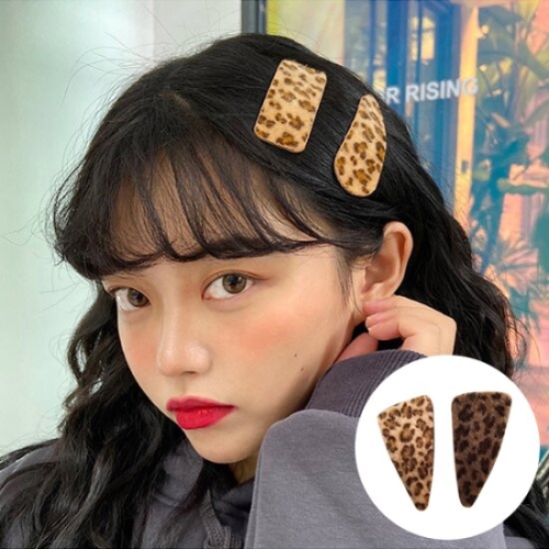 Ȧ���� ���� �����ĵ� ȣ�� �����_ 2511000