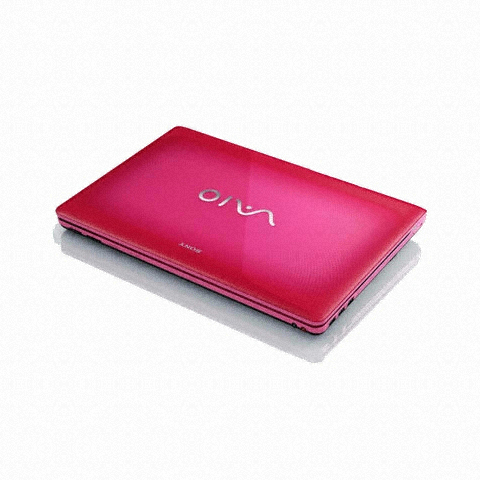SONY 바이오 VPC-EB15FK/P_이미지