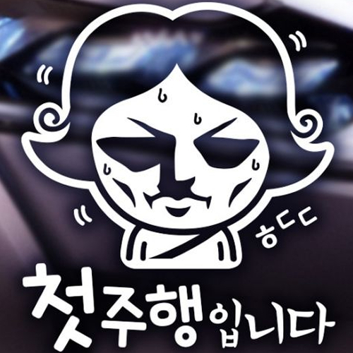 �������� �ڵ�����ƼĿ ������� ù����