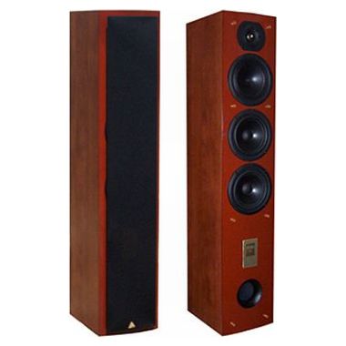 트라이앵글 ESPACE CELIUS 202