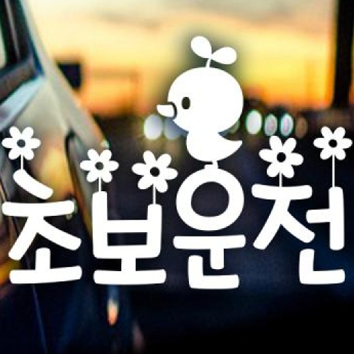 제제데코 초보운전 나들이 (반사스티커)_이미지