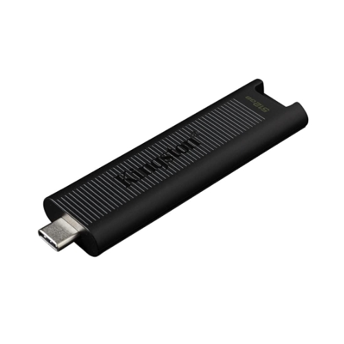 킹스톤 DataTraveler Max Type C 해외구매 (256GB)_이미지