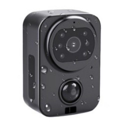 SEWEEK PD01 �ٵ�ķ