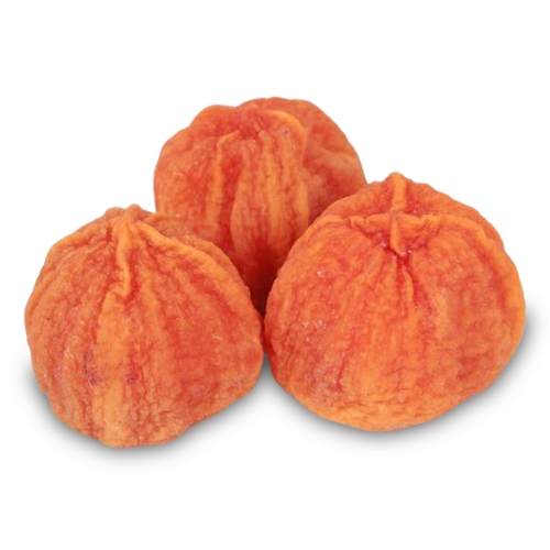 ���� ���� �ս� ����� �ݰǽ� ��Ʈ ȣ�θ��� ������Ʈ