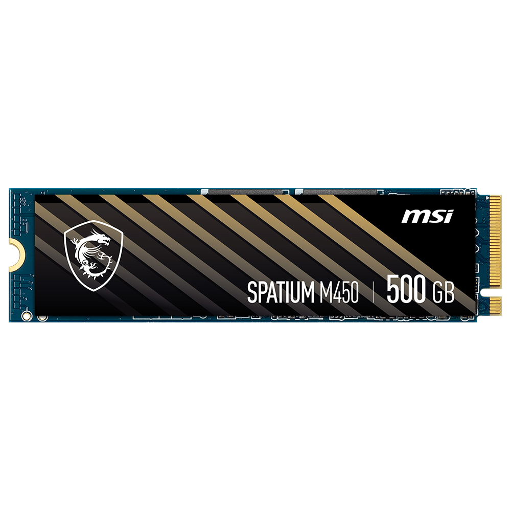 MSI SPATIUM M450 M.2 NVMe (500GB)_이미지