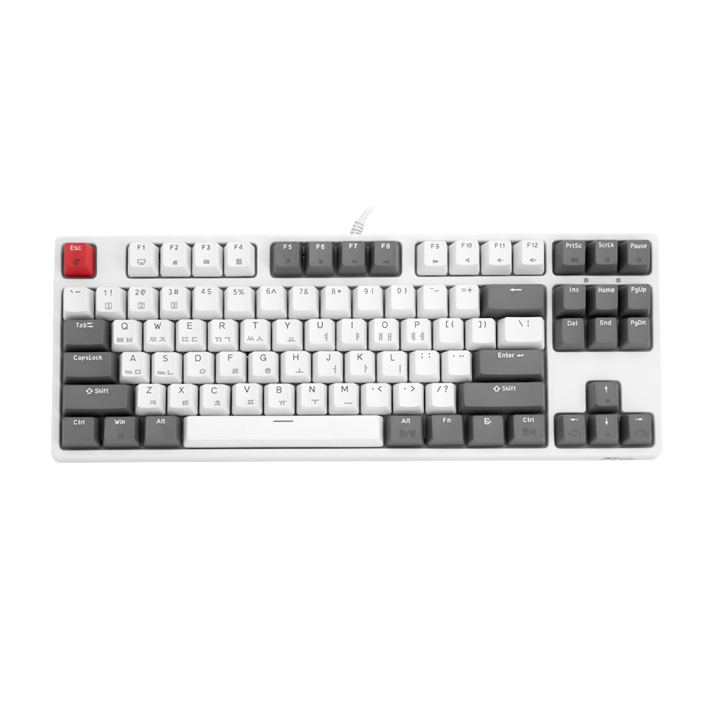 �ξ�Ŭ���� RK987 RGB ���� ��Ű���� Ű����