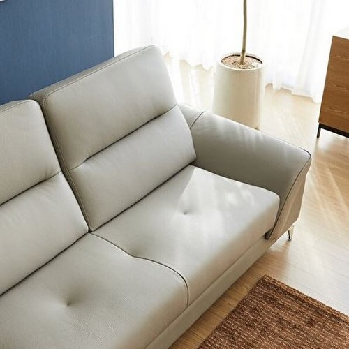 ������ �ƺ� ī�� õ���밡�� ���� 4�ο�