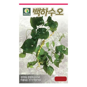 백하수오씨앗 50g