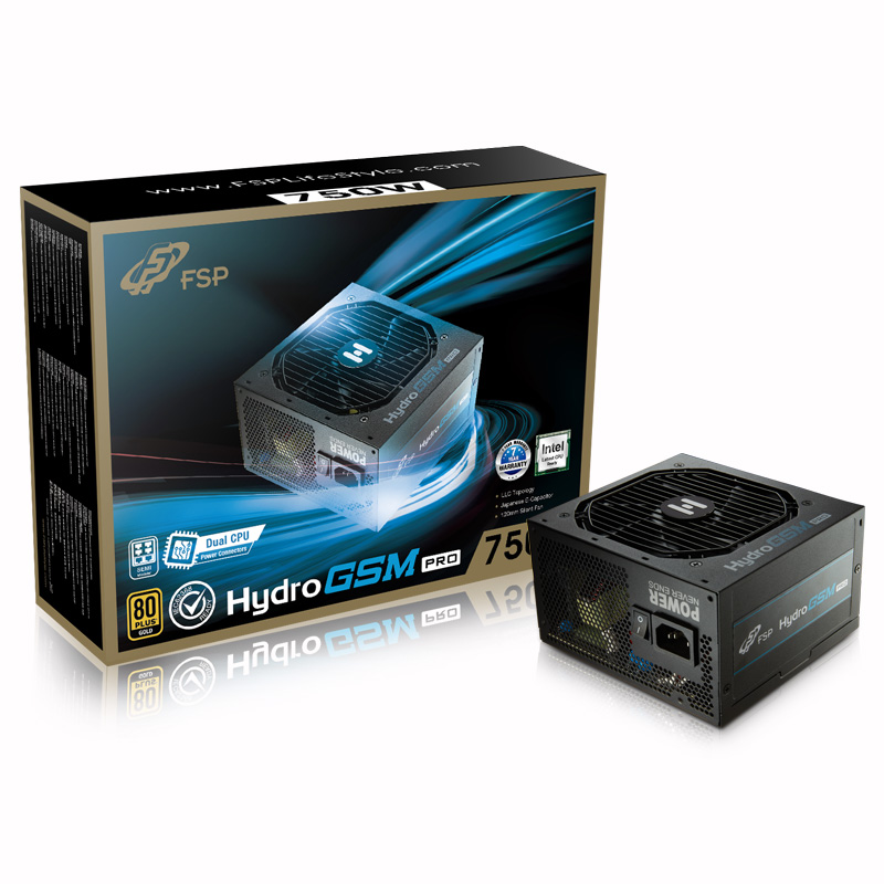 FSP HYDRO GSM PRO 750W 80PLUS골드 모듈러_이미지