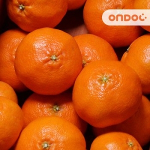 온도씨 제주 고당도 레드향 소과 13~20과내외 2.5kg (1개)_이미지