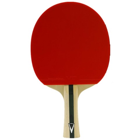 엑시옴 참피온 V 1.5 S