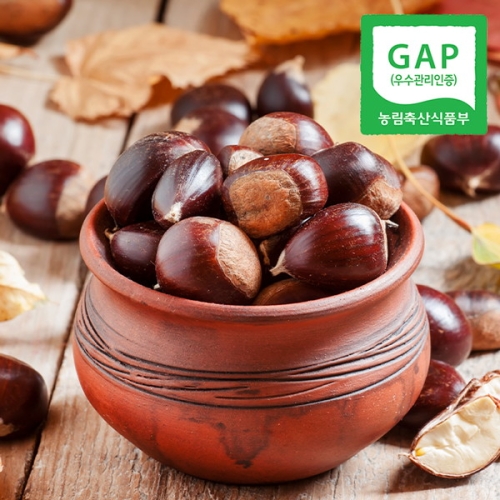 웰굿 GAP인증 산지직송 충남 공주 정안 알밤 4kg 특_이미지