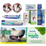 한빛 와우 녹차치약 (80g)