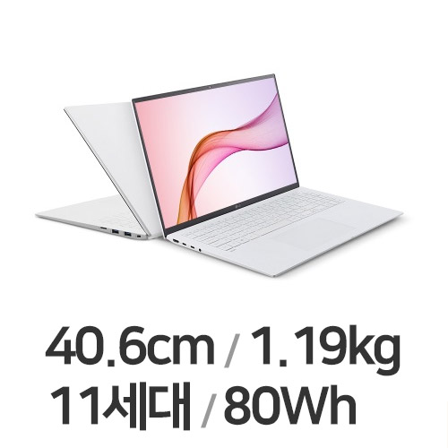 LG전자 2021 그램16 16ZD90P-GX76K WIN10 (SSD 256GB)_이미지