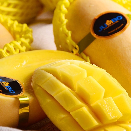 감동 태국 골드 망고 특 대과 8-12과(개) 4kg이미지입니다. 누르면 해당 게시물로 새창이동합니다.