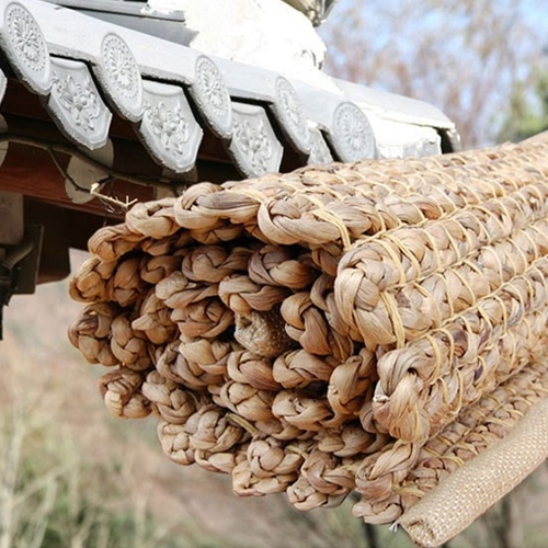 ������� ����ۼ� �Ϲ���