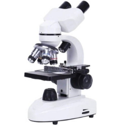 드림스타 현미경 1600배이미지입니다. 누르면 해당 게시물로 새창이동합니다.