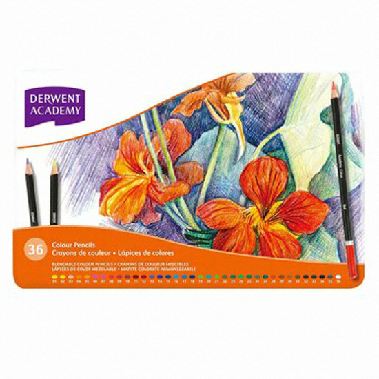 아카데미 유성 색연필