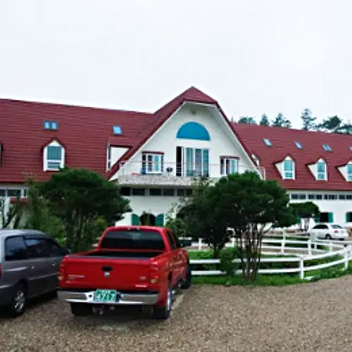 ������ �����Ͻ������� ��� (����)