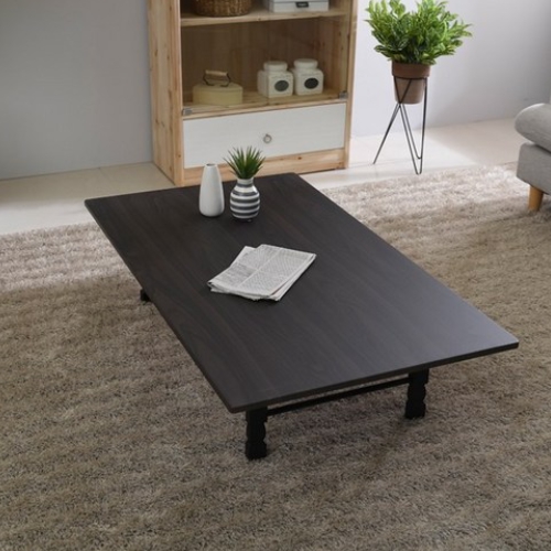 일송가구 베이직 접이식 좌식 테이블 특대 (120x70cm)_이미지