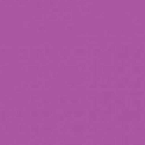 SAVAGE 91 Plum ���������� �ѹ����