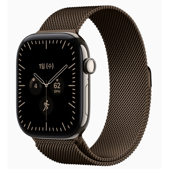 APPLE 워치 시리즈12 46mm Cellular 티타늄 (내추럴_밀레니즈루프)