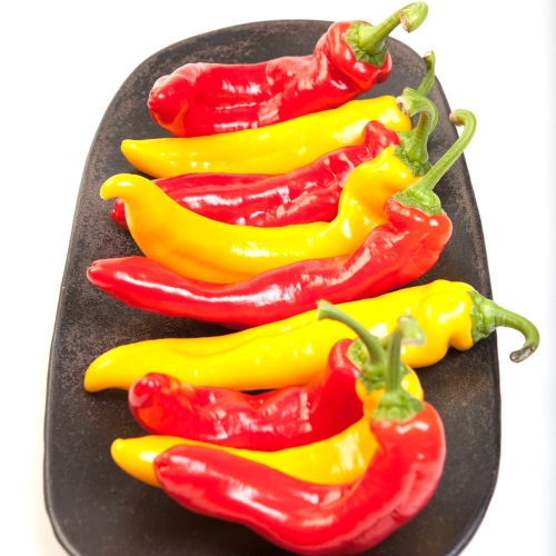 오아로 트리벨리 파프리카 1.2kg (1개)_이미지