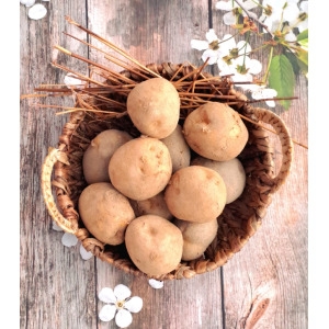 가락시장 찐여사 햇감자 중 알감자 10kg 23년 수확 하우스 햇감자 국내산 수미감자