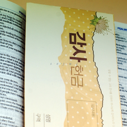 세줄 도트라인 감사 헌금봉투 (100매)_이미지