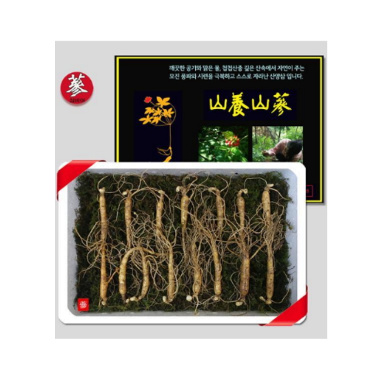 삼바이 5년근 산양산삼 15뿌리 (1개)