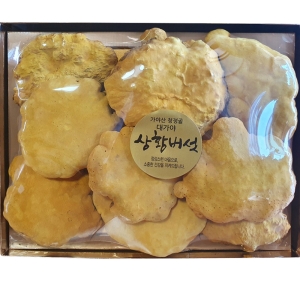 김철구 경북 고령 상황버섯 선물용 중품 160g (1개)_이미지