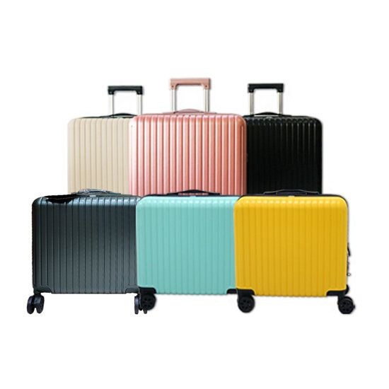 100% PC 캐리어 C 18 인치 253651