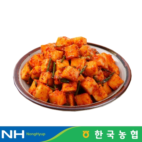 마이산김치 국내산 깍두기 1kg (1개)_이미지