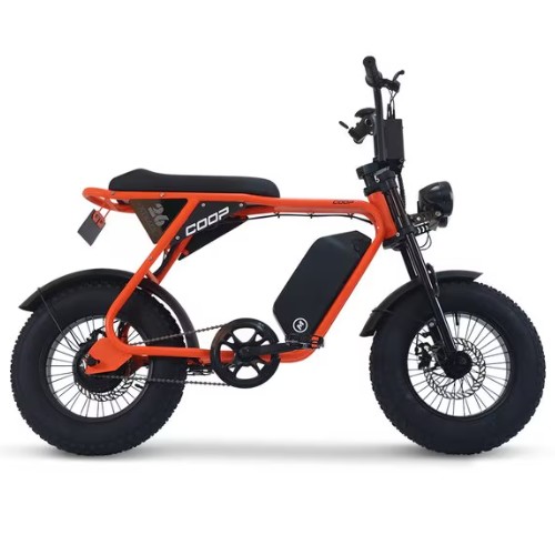 AU테크 엑스트랙 몬스터 쿱 (48V, 20Ah)