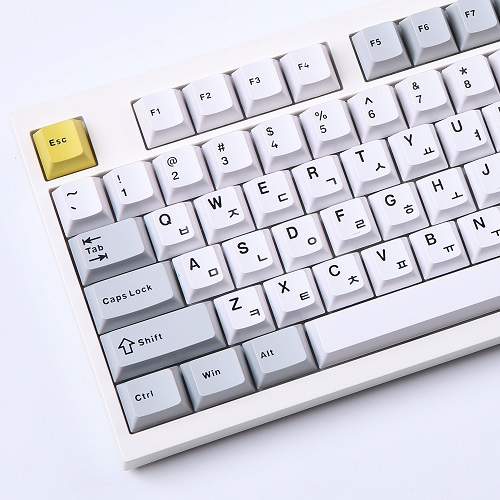 몬스타 가츠 꿀벌_이미지