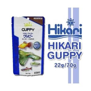 히카리 히카리 구피 70g_이미지