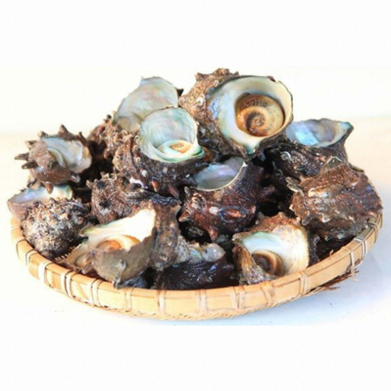 서귀포수협 제주 자숙 뿔소라 500g