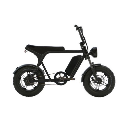 퀄리스포츠 엑스트론 미니 DUAL (2025년형) (48V, 19.6Ah)_이미지