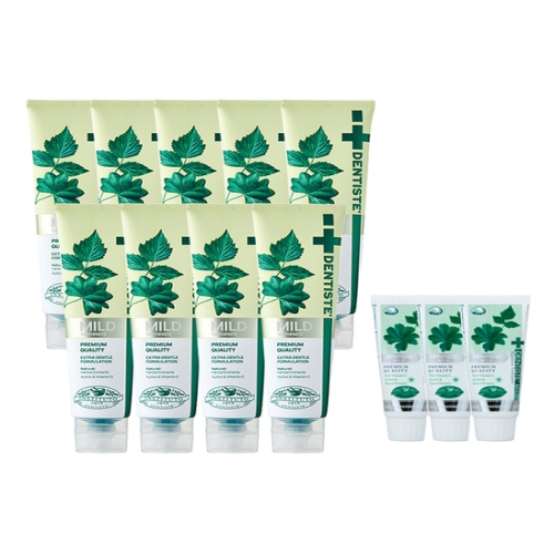 DKSH 덴티스테 마일드 치약 160g (9개)